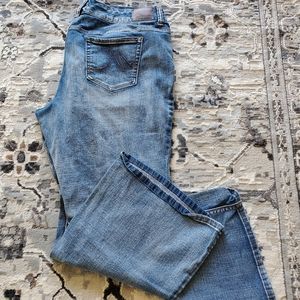 Maurices Plus Size 22S Flare Jeans